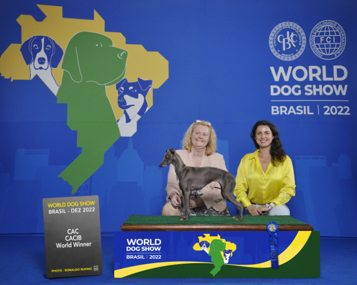 Unsere Kleinsten sehr erfolgreich in Brasilien